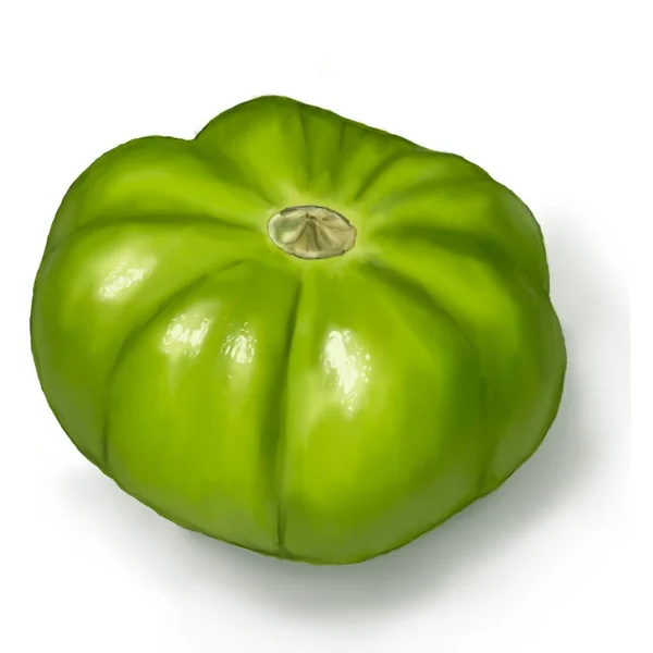 Tomat Verde Tomat Grön Tomat Mat Mexikansk Kultur Salsa Mat — Stockfoto