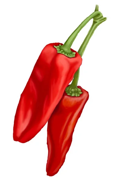 Röd Varm Chili Peppar Mexikanska Köket Matkultur Varm Kryddig Illustration — Stockfoto