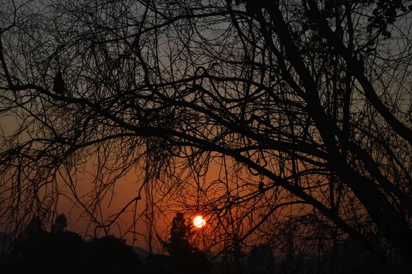 Яркий Золотой Утренний Солнечный Свет — стоковое фото