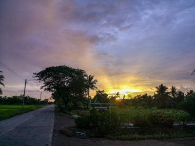 Yağmurdan sonraki akşam güneşi.