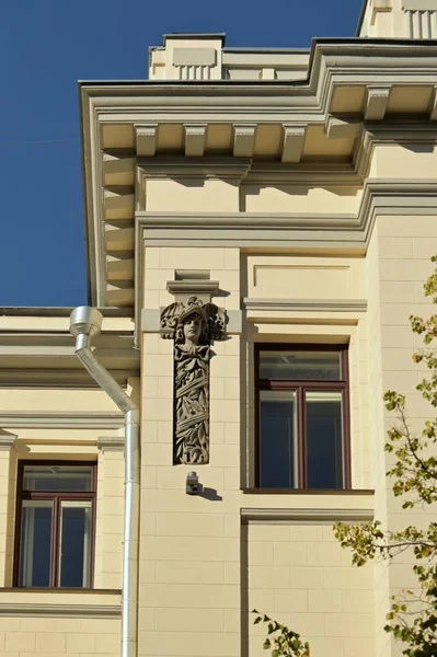 Fragmento Edifício Histórico Com Elemento Decorativo Vertical — Fotografia de Stock