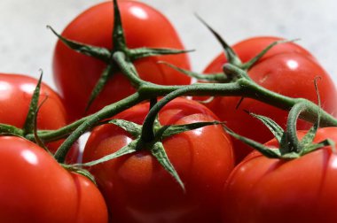 Yeşil filizli bir avuç kırmızı domates.