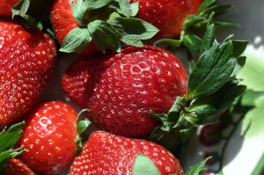 Tatlı olarak yemek masasının üstünde büyük kırmızı çilekler.