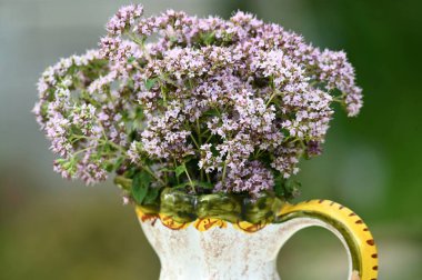 Beyaz arka planda vazoda güzel bir buket çiçek.