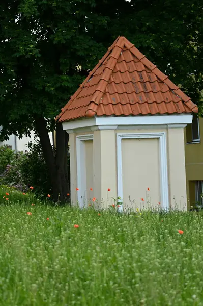 Starý Dům Parku Kedainiai Lituania — Stock fotografie