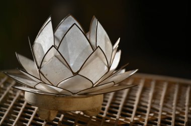 Siyah arkaplanda nilüfer çiçeği