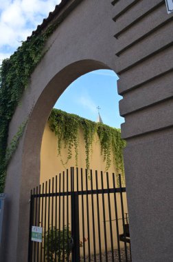 Yeşil bitkileri olan güzel bir ev