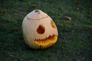 Cadılar bayramı Jack O Feneri Bahçedeki çimlerin üzerinde