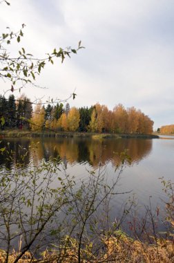 Gölü olan sonbahar manzarası