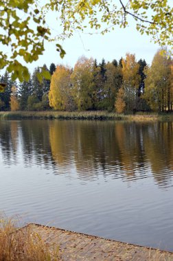 Parkta nehir olan sonbahar manzarası