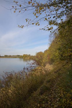 Ekim ayında gölü olan güzel bir sonbahar manzarası. Ağaçlarla, mavi gökyüzüyle ve bulutlarıyla sonbahar manzarası