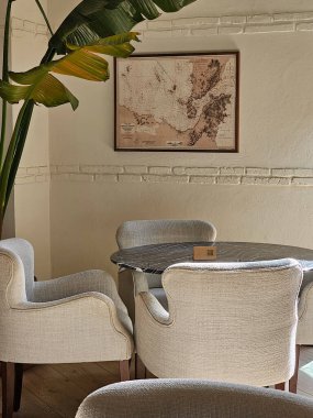 Kanepe ve sandalyeli modern iç tasarım