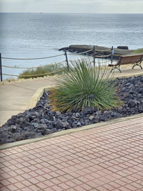 Deniz kıyısının güzel manzarası