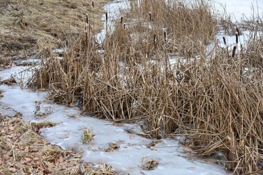 Kış günü donmuş göl.