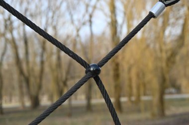 Ağaçtaki ahşap bir ipin yakın plan çekimi.