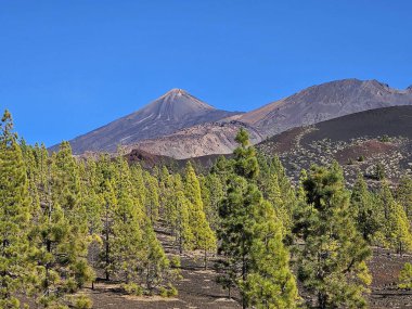 Tenerife kanarya adası İspanya 'daki Tide Ulusal Parkı' nda volkan