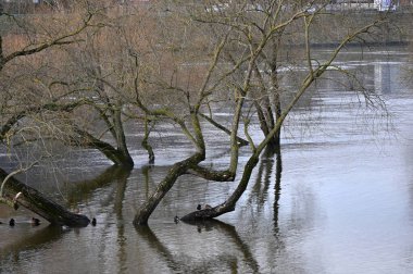 Parktaki güzel bir nehir manzarası.