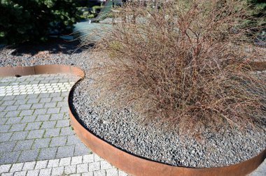 Güzel botanik bitkileri, doğal bahçe