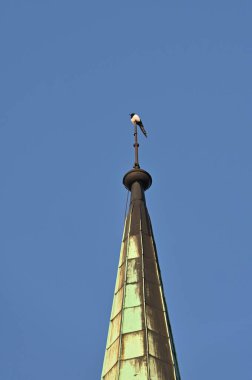 Eski paslı metal boru, Pozna, Polonya
