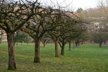 Şehir parkının manzarası