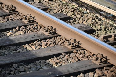 Ormanda demiryolu rayları