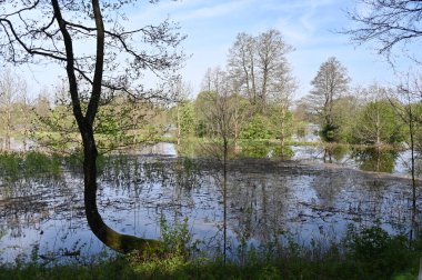 Güzel göl manzarası
