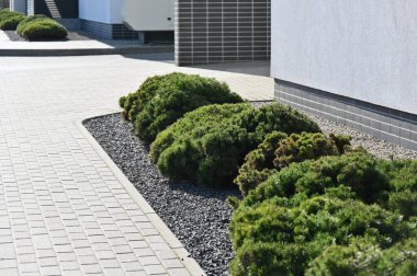 Şehrin modern mimarisi