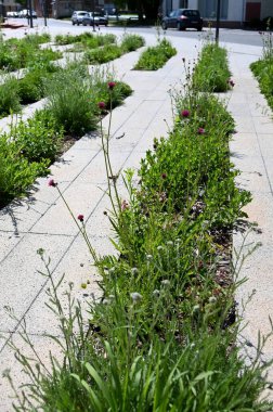 Parkın güzel manzarası