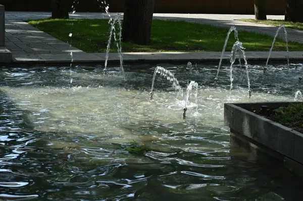 Yeşil yapraklı çeşme.