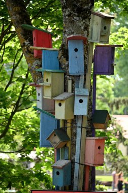 farklı mimari, seçici odak
