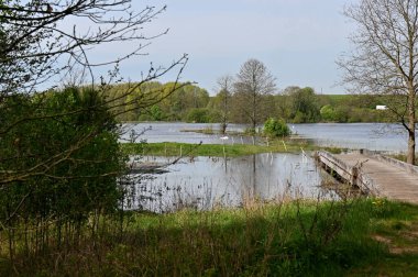 Doğanın ve nehrin güzel manzarası, yaz günü.