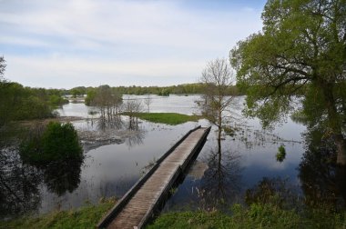 Nehir ağaçlarla çevrili.