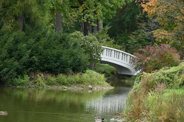 Sonbaharda gölün parkındaki bir köprü manzarası.