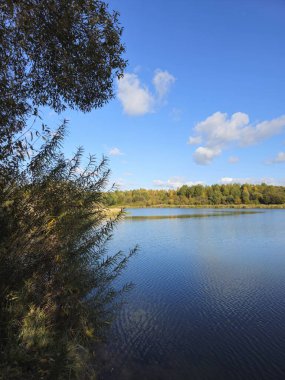 Doğa gölünün güzel manzarası