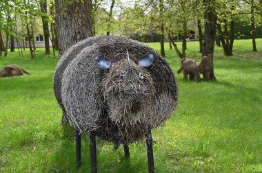 Ormanda büyük bir kara koyun