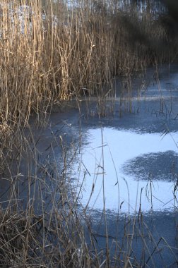 Nehir kıyısındaki buz