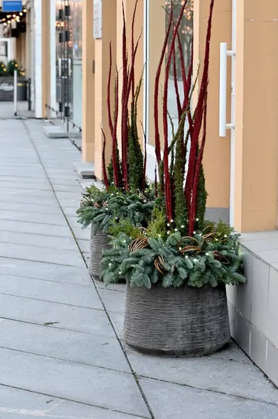 Kaldırımda kırmızı ve beyaz çiçekler