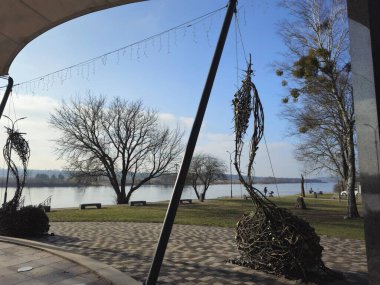 Ağaçlar ve karla kaplı kış manzarası