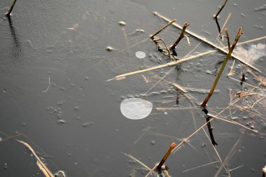 Güzel beyaz bir karın yakın plan çekimi.