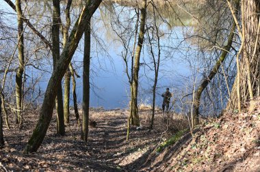 Ormandaki nehrin güzel manzarası
