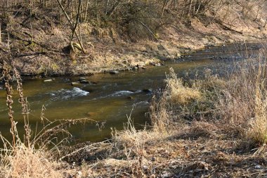 Nehir ve ormanlı bahar manzarası