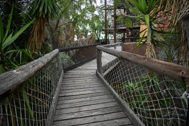 Tahta köprünün güzel manzarası.