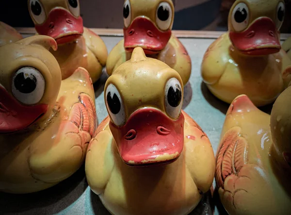 Closeup Shot Ducks Sale — Stock Photo, Image