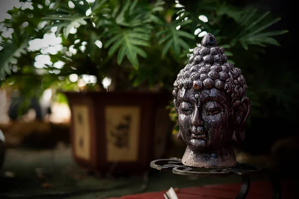 Buddha Szobor Kertben — Stock Fotó