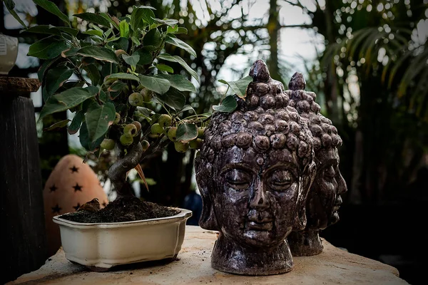 Pionowe Ujęcie Buddyjskiej Figury Wazonie Zamazanym Tłem — Zdjęcie stockowe