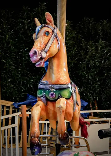 Closeup Shot Horse — Stock Photo, Image