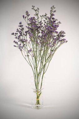 Cam vazoda lavanta çiçeği