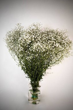 Gri arka planda beyaz çiçekli buket