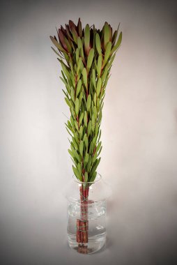 Cam bir arka planda bir buket çiçek..