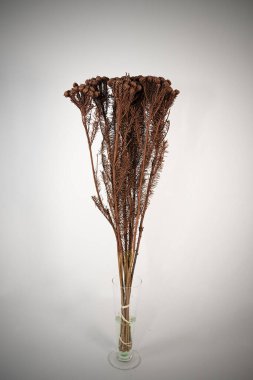 Güzel çiçek buketi beyaz arka plan üzerinde.